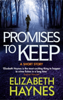 Elizabeth Haynes - Promises to Keep artwork