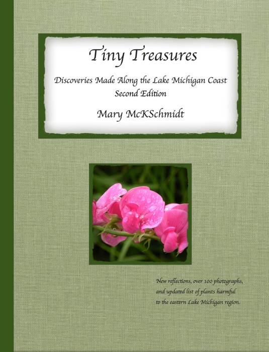 Tiny Treasures