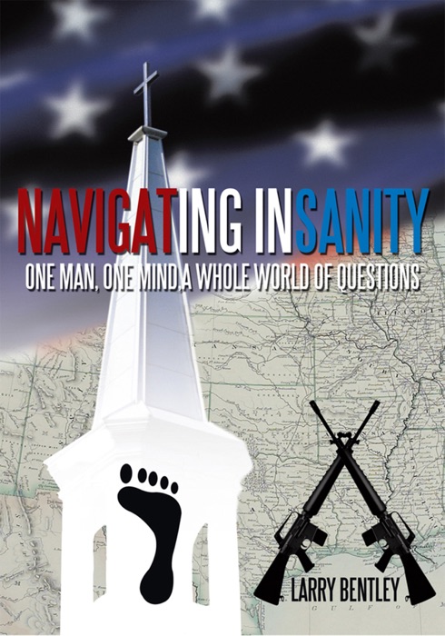 Navigating Insanity