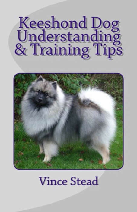 Keeshond Dog Understanding & Training Tips