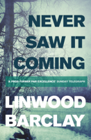 Linwood Barclay - Never Saw it Coming artwork