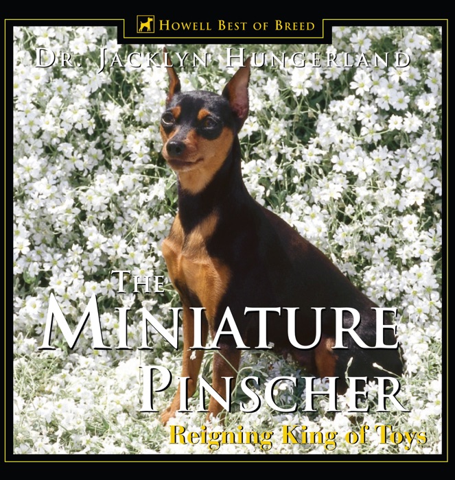 Miniature Pinscher