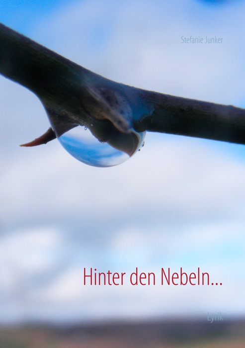 Hinter den Nebeln...