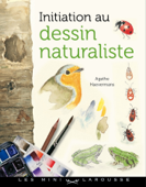 Initiation au dessin naturaliste - Agathe Haevermans