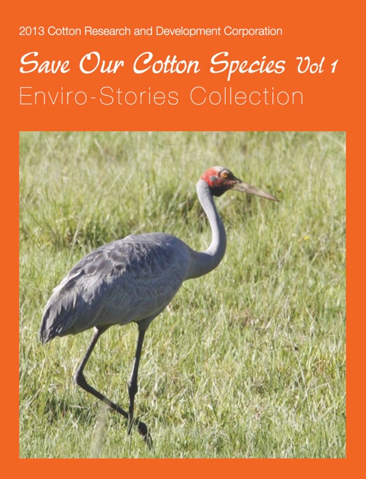 Save Our Cotton Species - Volume 1