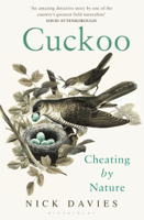 Nick Davies - Cuckoo artwork
