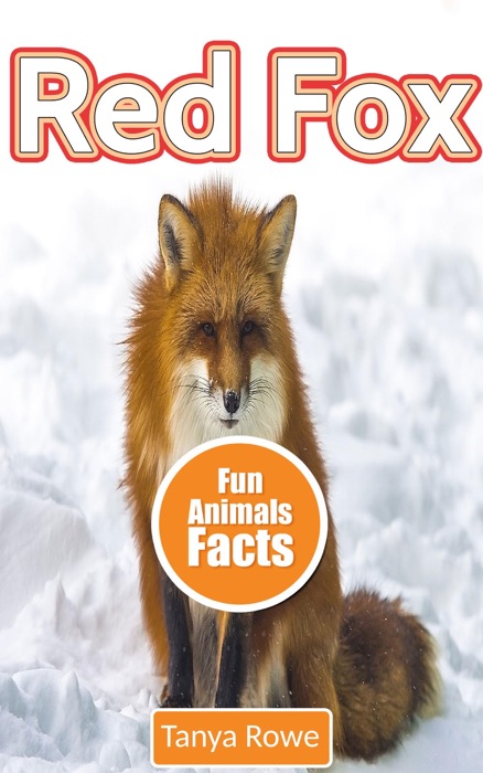 Red Fox