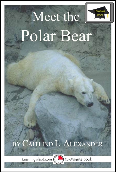Meet the Polar Bear: Educational Version