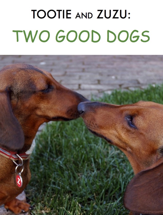 Tootie and Zuzu: Two Good Dogs