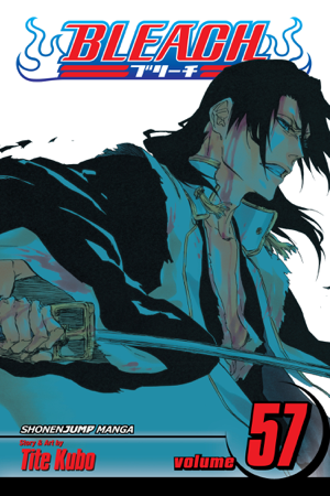 Read & Download Bleach, Vol. 57 Book by Tite Kubo Online
