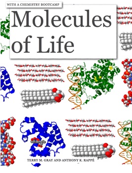 100 word essay about the molecules of life