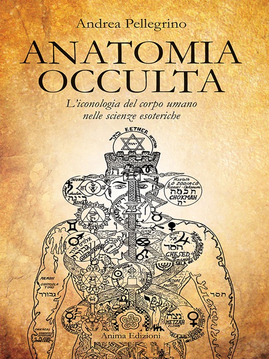 Anatomia Occulta