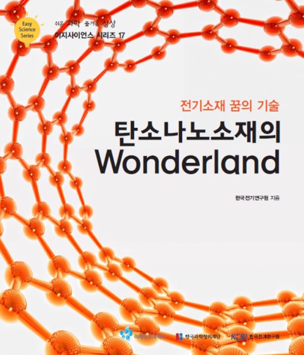 이지사이언스 시리즈 17 탄소나노소재의 Wonderland