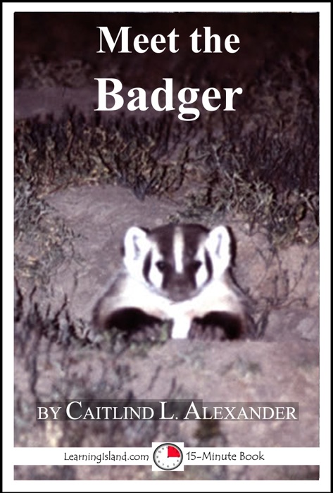 Meet the Badger: A 15-Minute Book for Early Readers