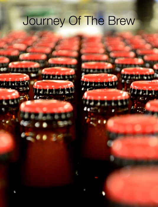 Journey Of The Brew