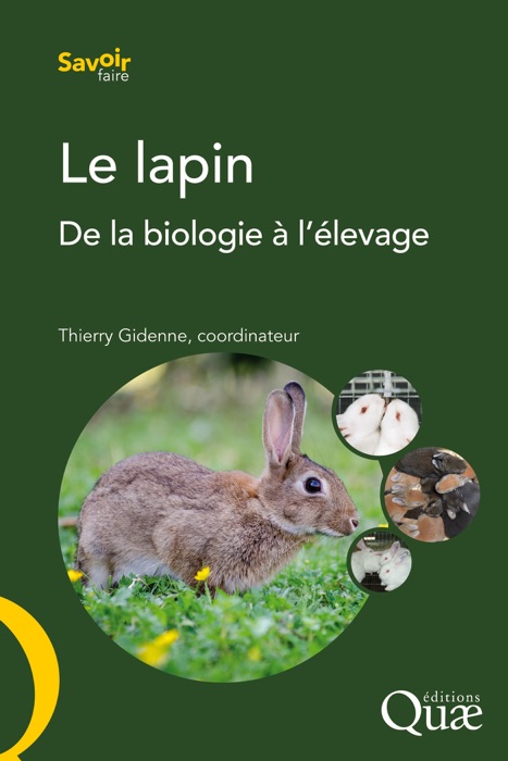 Le lapin