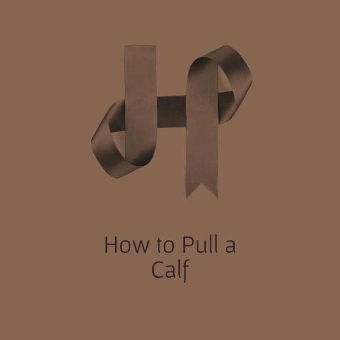 How to Pull a Calf