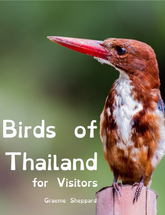 Birds of Thailand for Visitors