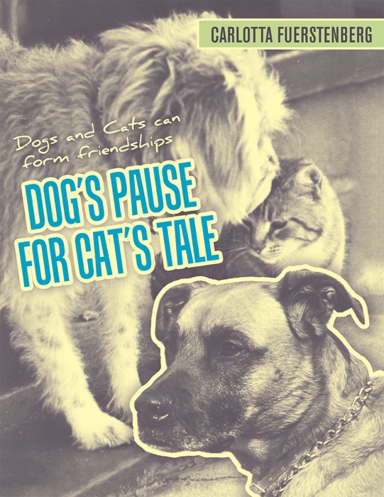 Dog's Pause for Cat's Tale