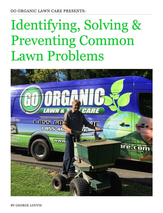 Identifying, Solving & Preventing Common Lawn Problems