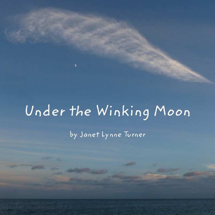 Under the Winking Moon