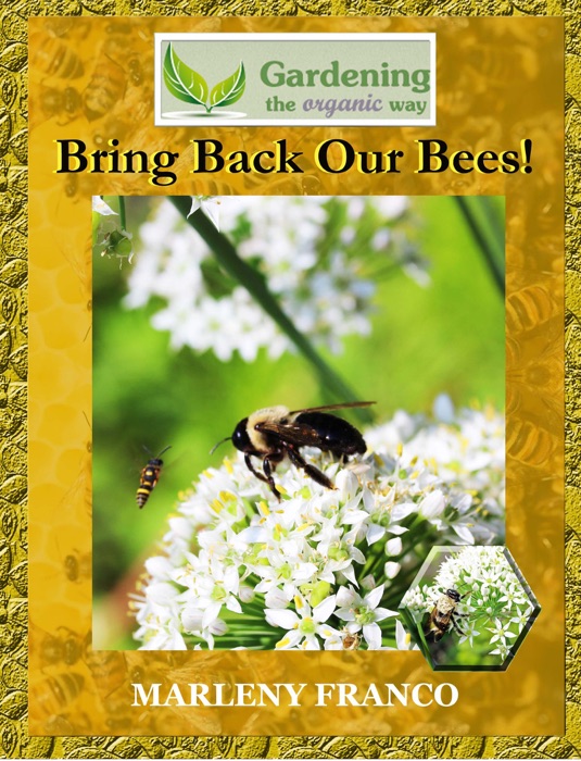 Bring Back Our Bees!