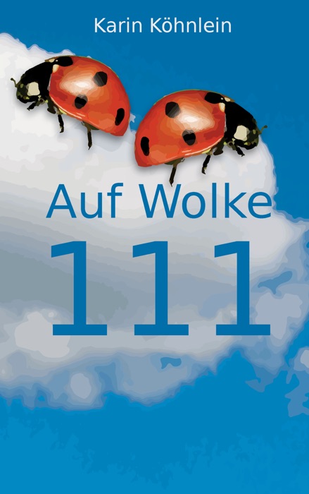 Auf Wolke 111