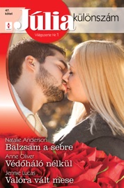 Júlia különszám 47. kötet (Balzsam a sebre, Védőháló nélkül, Mese felnőtteknek)