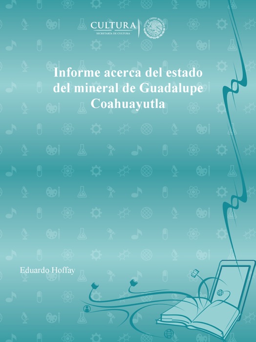Informe acerca del estado del mineral de Guadalupe Coahuayutla