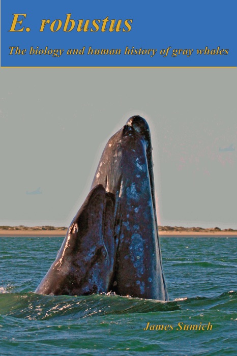 E. robustus: The Biology and Human History of Gray Whales