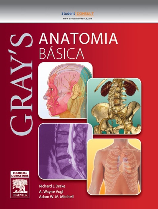 Gray’s anatomia básica