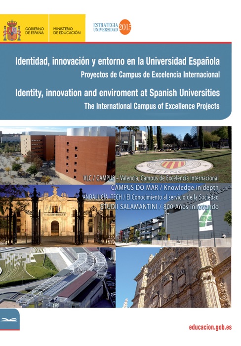 Identidad, innovación y entorno en la universidad Española