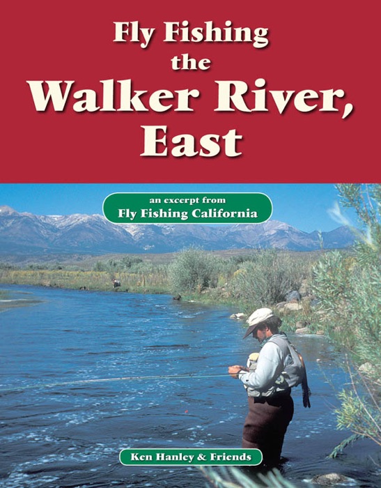 Fly Fishing Walker River, East
