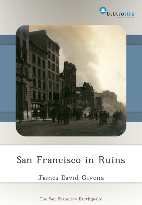 San Francisco in Ruins