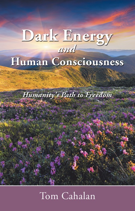 Dark Energy and Human Consciousness