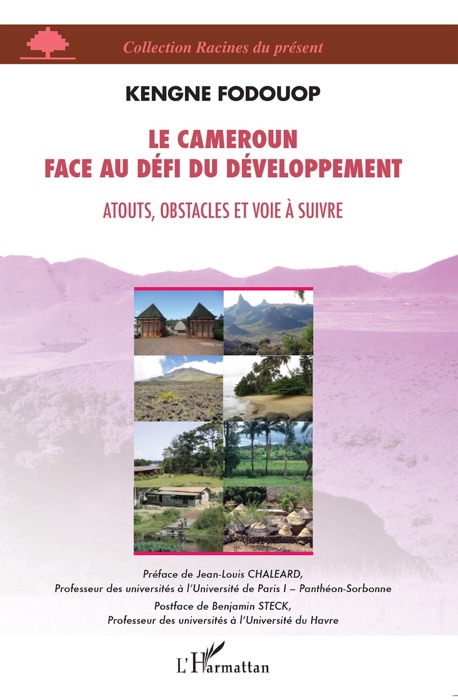 Le Cameroun face au défi du développement