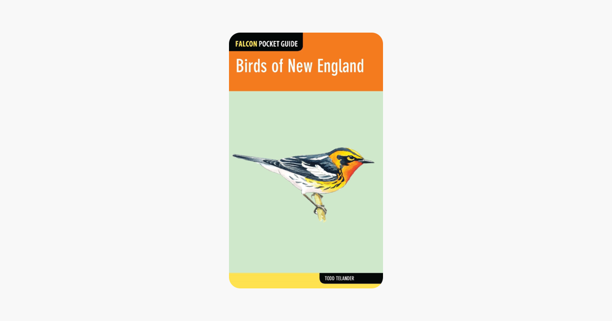 Birds of New England: A Falcon Pocket Guide