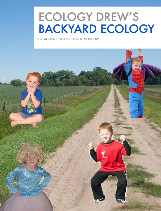 Ecology Drew’s Backyard Ecology