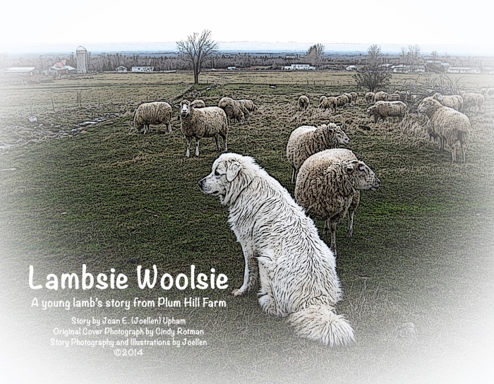 Lambsie Woolsie