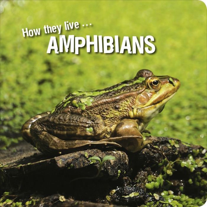 How they live... Amphibians