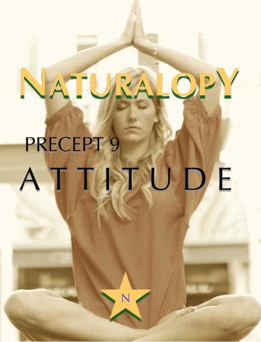 Naturalopy Precept 9: Attitude