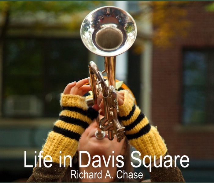 Life in Davis Square