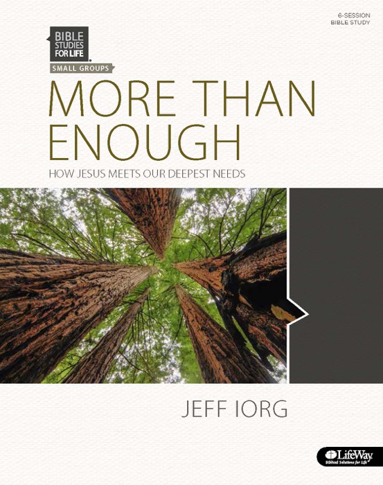 More Than Enough - Bible Study Book