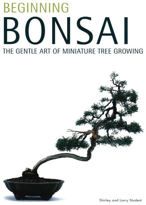 Beginning Bonsai