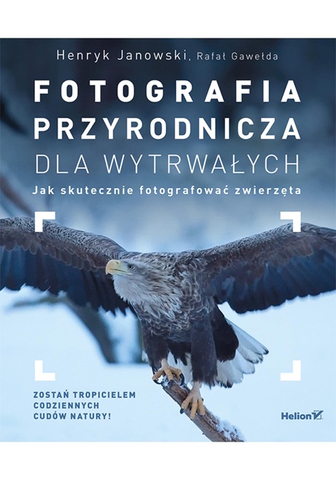 Fotografia przyrodnicza dla wytrwałych. Jak skutecznie fotografować