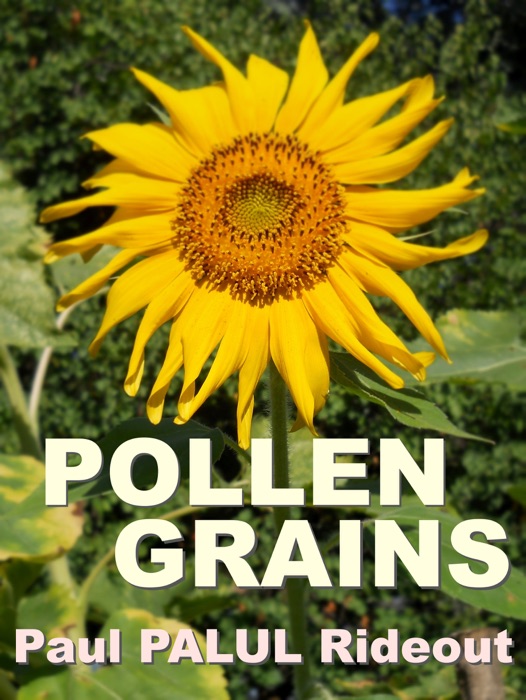 Pollen Grains