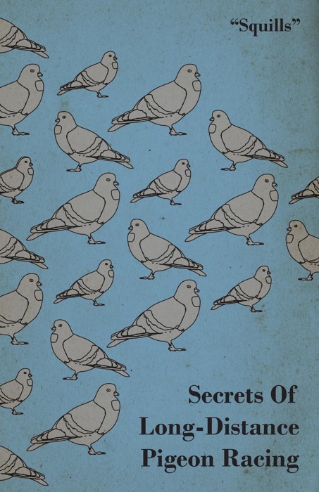 Secrets of Long-Distance Pigeon Racing