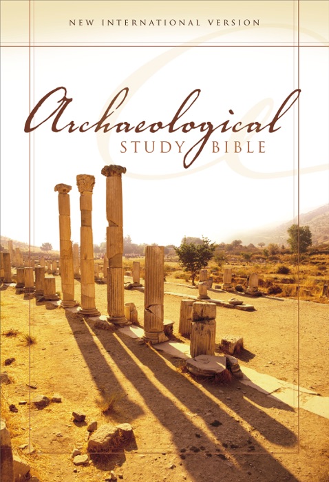 NIV, Archaeological Study Bible