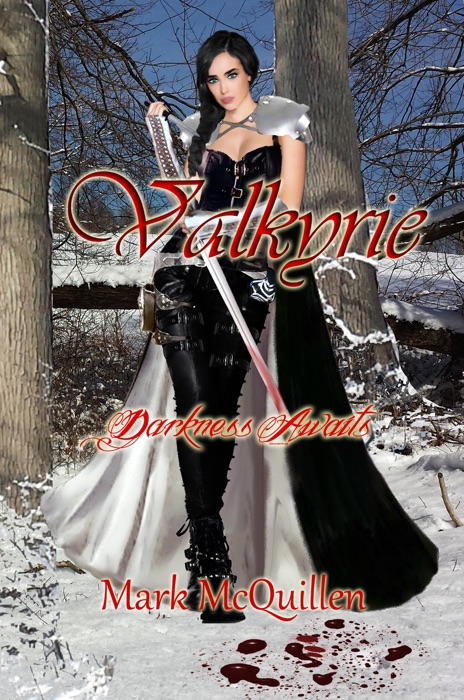 Valkyrie:Darkness Awaits Valkyrie Darkness Book 1