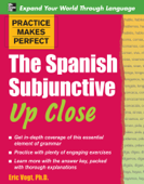 Practice Makes Perfect: The Spanish Subjunctive Up Close - Eric W. Vogt